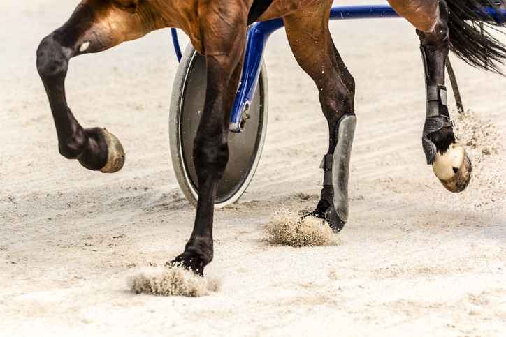 Article image for ‘Kangaroo court’ condemns Queensland racing identities to besmirched reputations