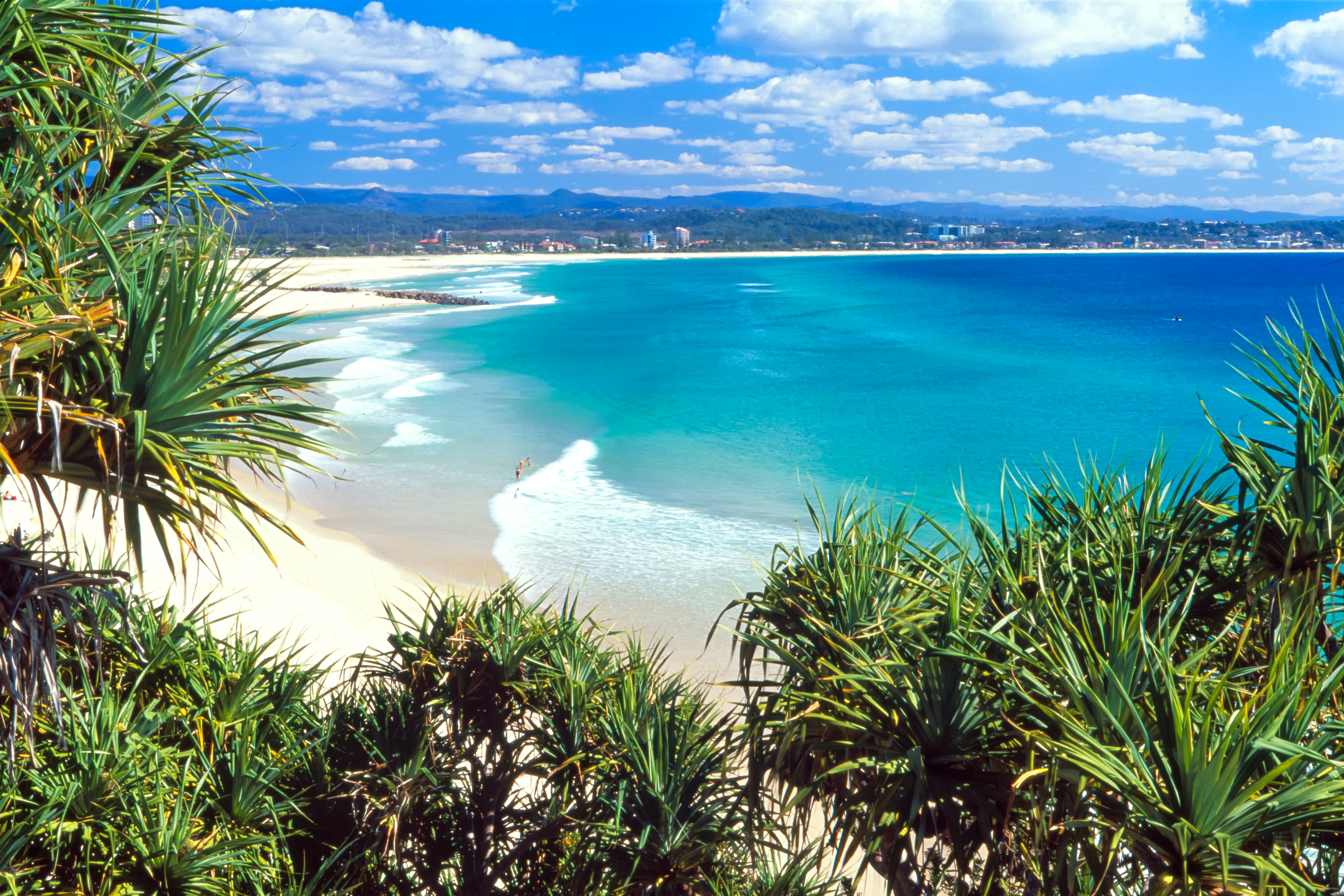 Article image for Gold Coast beaches re-open after horror weekend
