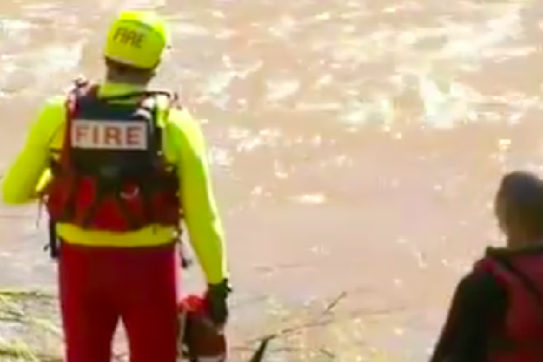 Article image for Police recover body in ute in search for missing man in flood waters