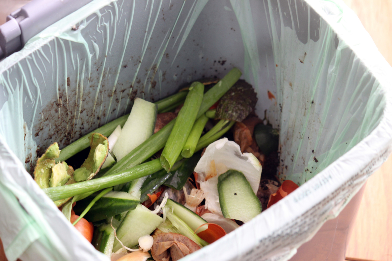 Article image for Food scraps and even dog poo: The idea to transform Brisbane council’s waste collection