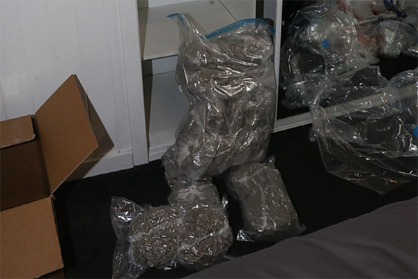 Article image for Kilograms of cannabis discovered in Kelvin Gove home