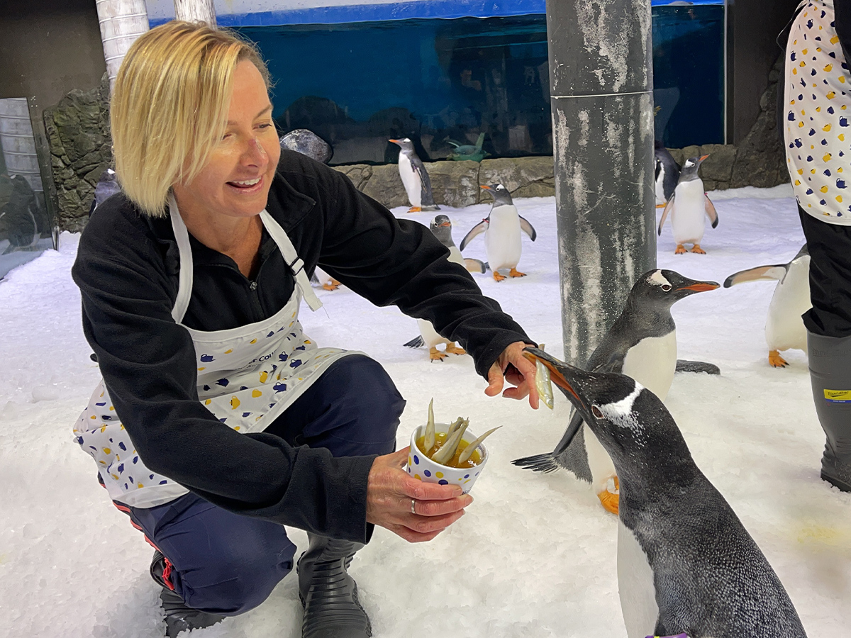 Deborah Knight fishes for friends at adorable penguin tea party