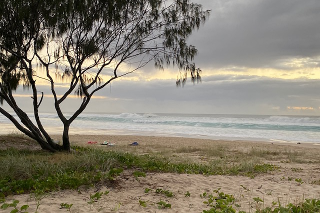 Article image for Beachgoers warned to stay away from water in south-east