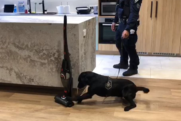 Article image for The tech dogs helping sniff out dangerous criminals