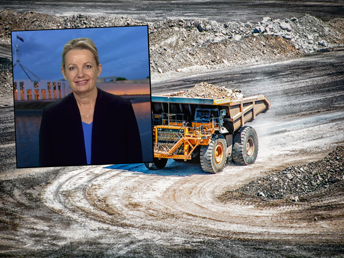 Article image for Federal Court rules Environment Minister has duty of care over climate change
