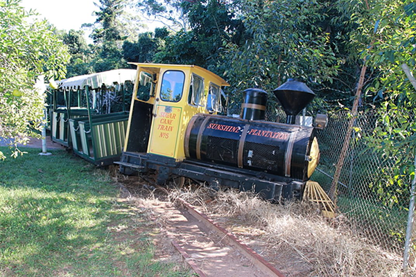 Article image for Big Pineapple train derailed and crashed in alleged joyride