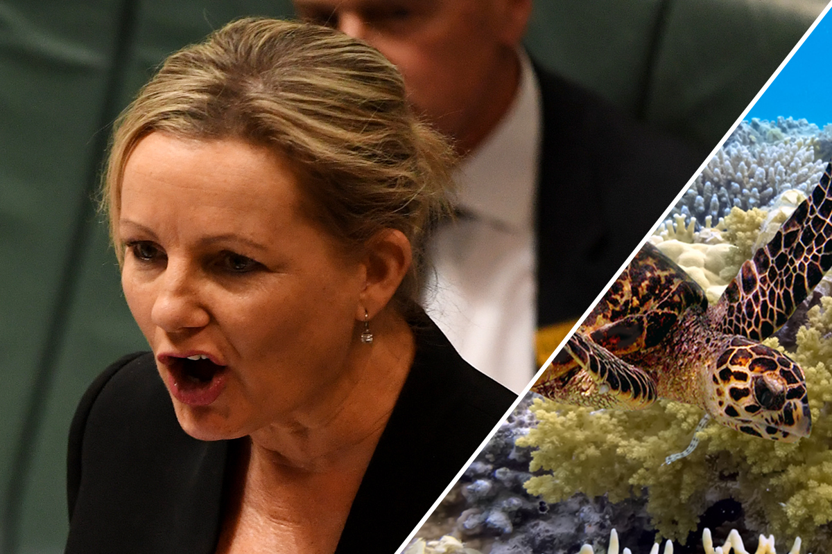 Article image for Australia blindsided by UN push to downgrade Great Barrier Reef