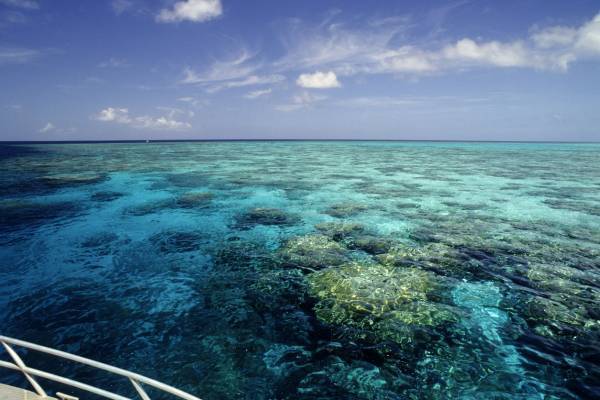 Article image for $1 billion pledge to help protect the Great Barrier Reef