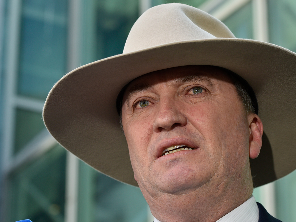 Article image for Barnaby Joyce emerges from Nationals spill as party leader