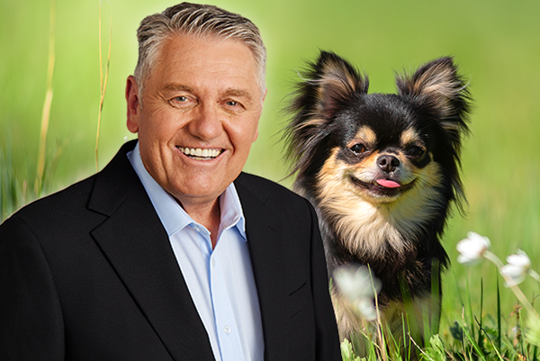 Ray Hadley executes dastardly plot against a chihuahua