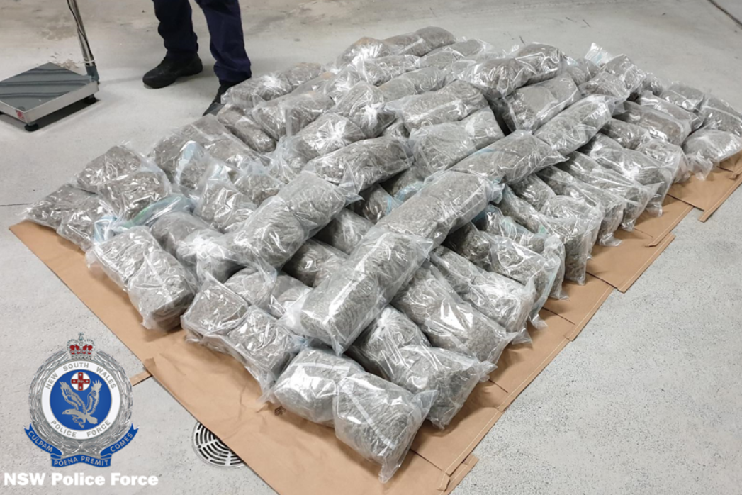 Article image for Border bust uncovers over 100 kilograms of cannabis