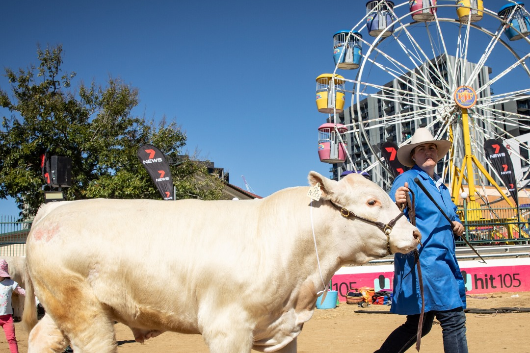 Article image for The biggest loss farmers face from the Ekka’s cancellation