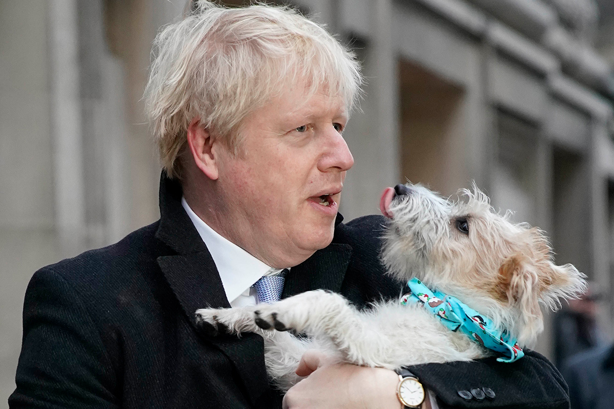 Article image for UK PM addresses ‘romantic urges’ of Downing Street dog
