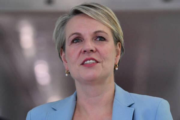 Article image for Tanya Plibersek: Australians ‘held to ransom’ over net zero target