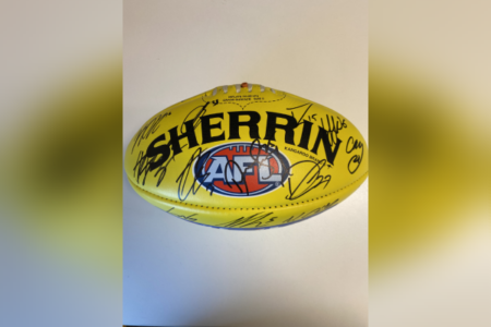 Brisbane Lions go ‘above and beyond’ for footy fan!