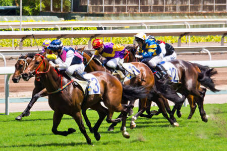 Thoroughbred legends of the track