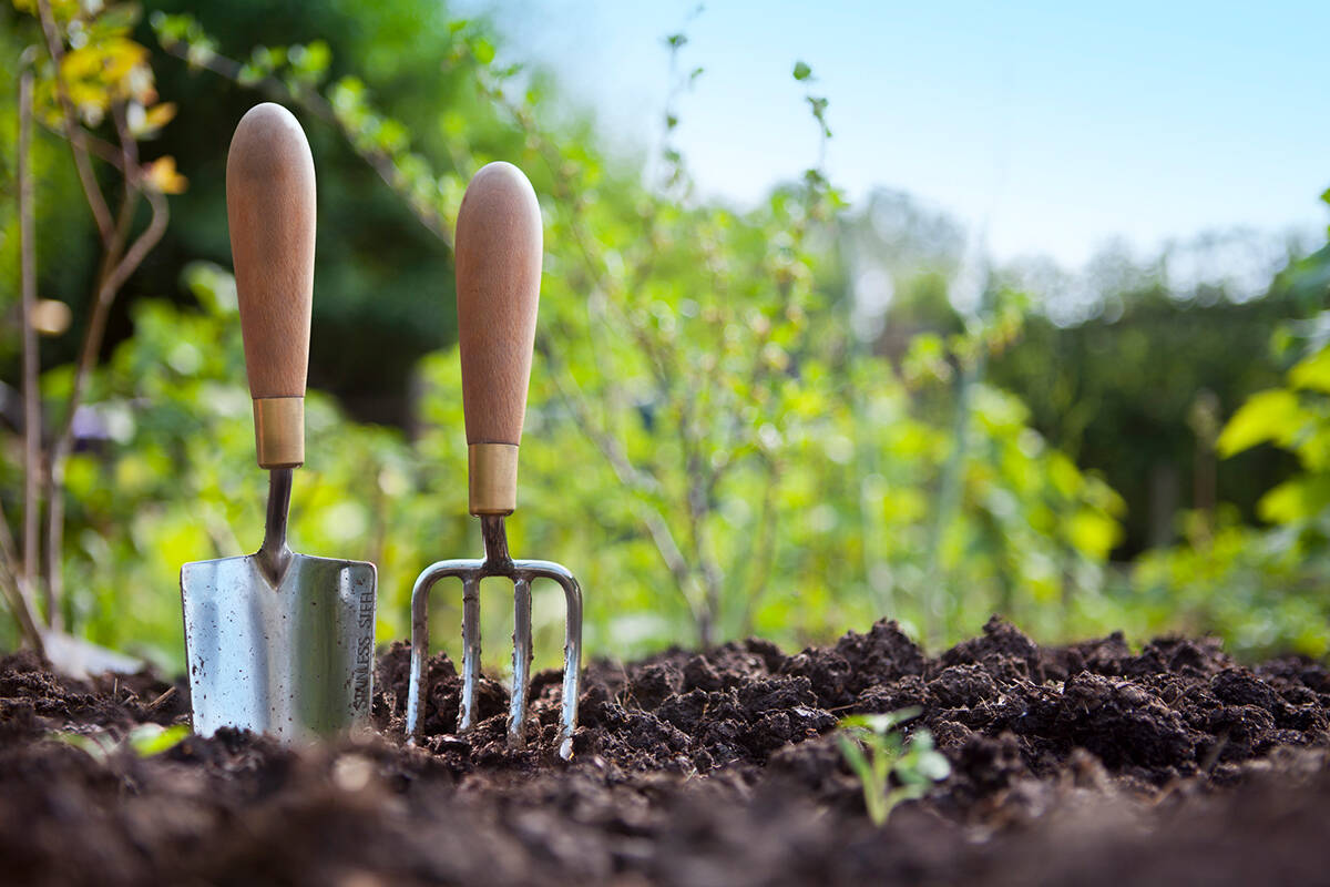 Article image for Three easy ways to improve the soil in your home garden