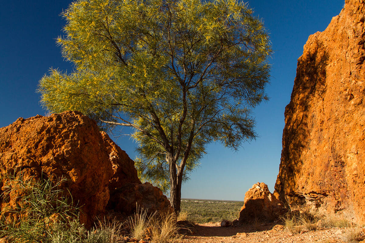 Article image for The Qld town paying people $20,000 to move in