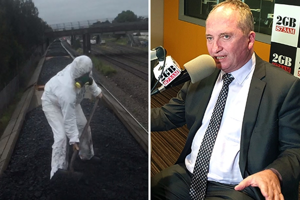 Article image for Barnaby Joyce blasts ‘Gretas on steroids’ bringing Hunter to a halt