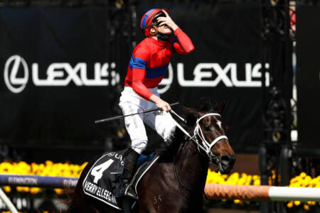 Verry Elleegant wins the 2021 Melbourne Cup