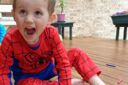 Search for William Tyrrell’s remains resumes with police operation in Kendall