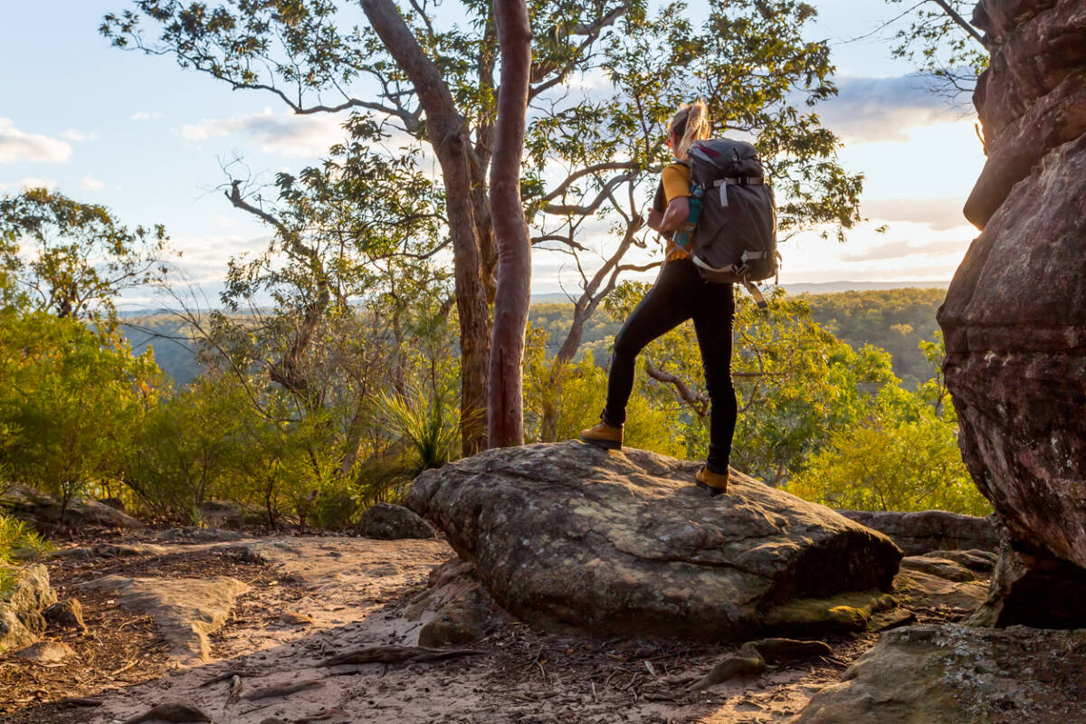 Article image for New program to get girls, women feeling safe bushwalking in the Scenic Rim