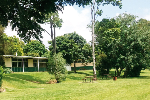 Article image for Ferny Grove State High sent into lockdown, students told not to attend