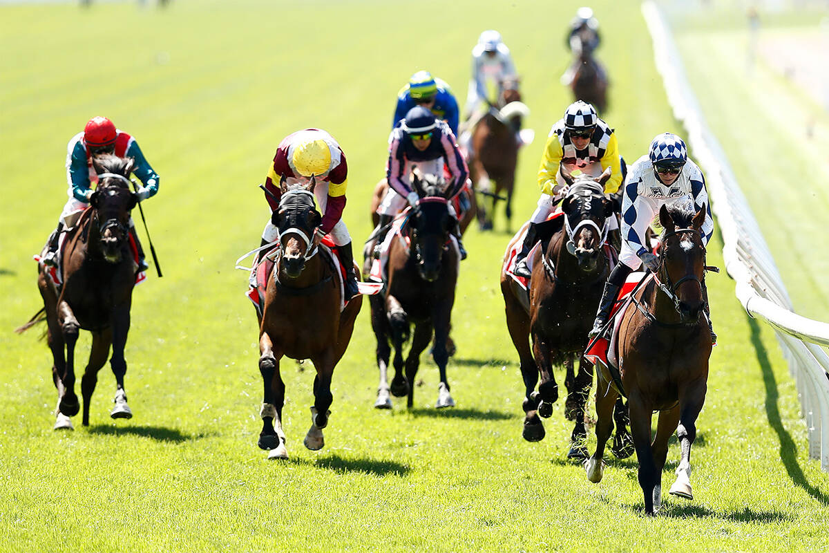 Article image for STREAM LIVE | Listen to the Melbourne Cup live on radio