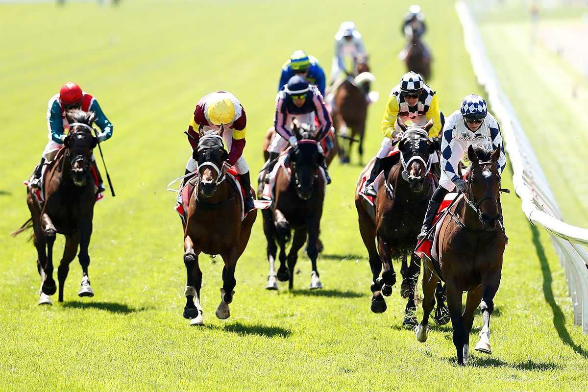 Melbourne Cup Live Stream 2024 Eryn Odilia