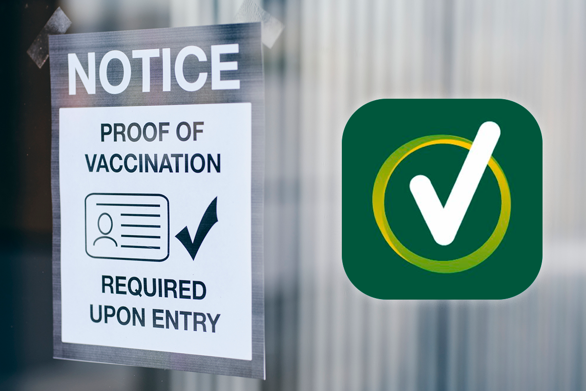 Article image for How to prove your vaccination status if you don’t have a smartphone 