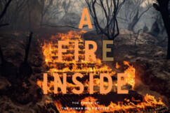 Shane Fitzsimmons: A Fire Inside