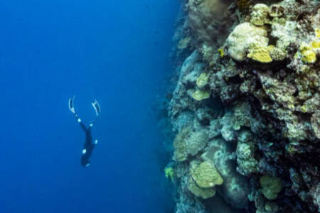 The Aussie freediver pushing the limit