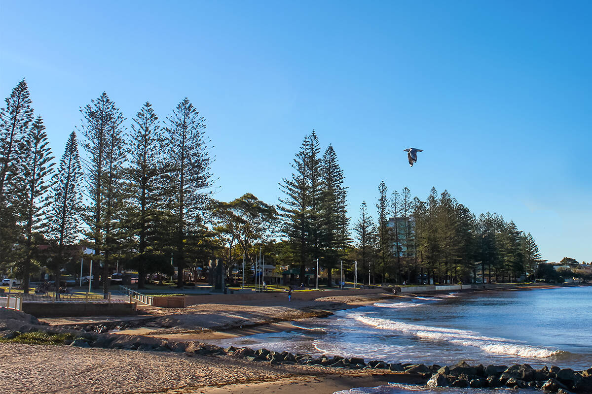 Article image for The bold plan for Moreton Bay to ‘stamp’ its position on the map