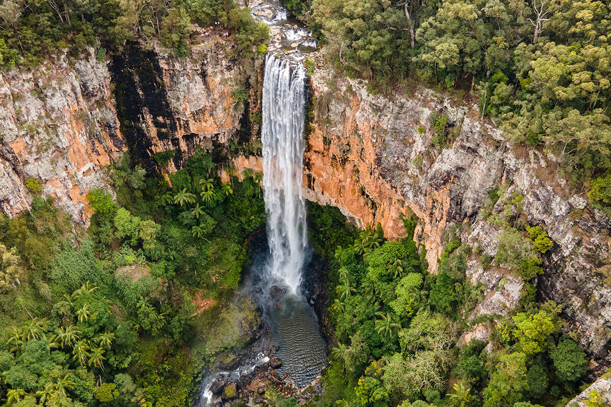 Article image for The best waterfalls to chase near Brisbane this week