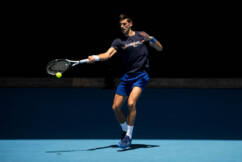 The ‘two reasons’ for the delay on Novak Djokovic visa decision