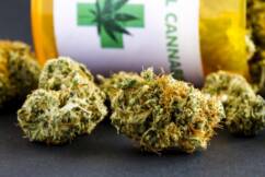 Researchers probe the potential impact of medicinal cannabis on long COVID