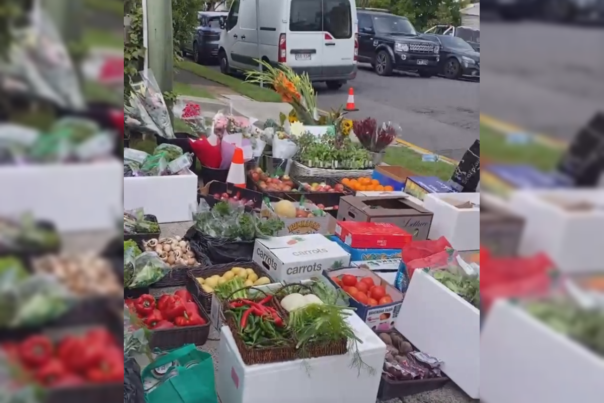 Article image for Market loses power, sets up giveaway stall on Rosalie streets