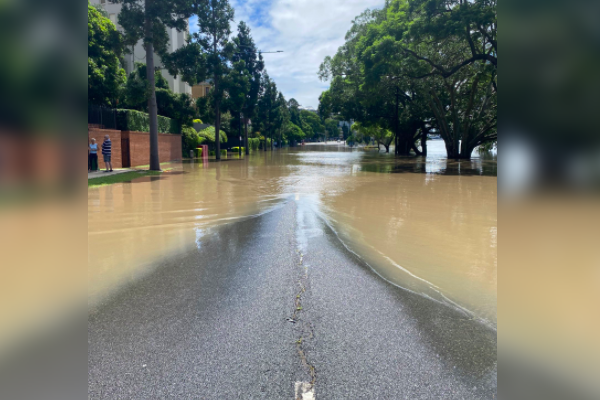 Article image for How Brisbane’s flash flooding problem could have a green answer