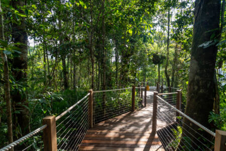 Slow road ahead: Northern QLD tourism operators in a ‘war’ to lure tourists
