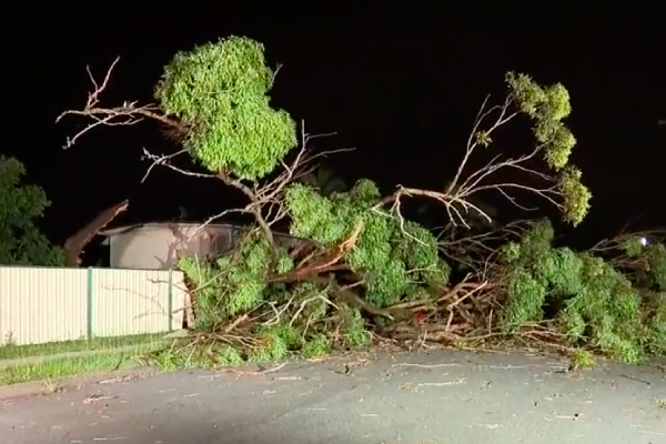 Article image for Clean-up begins after ferocious storm sweeps through Logan