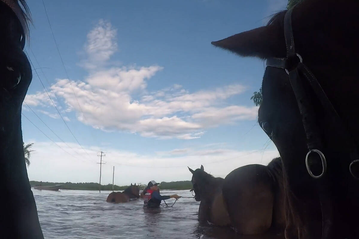 Article image for WATCH | Outback Spectacular team’s gruelling rescue of 23 horses stuck in floodwaters 
