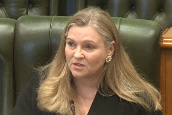 image-qld-gov-nikola_stepanov_at_committee_hearing