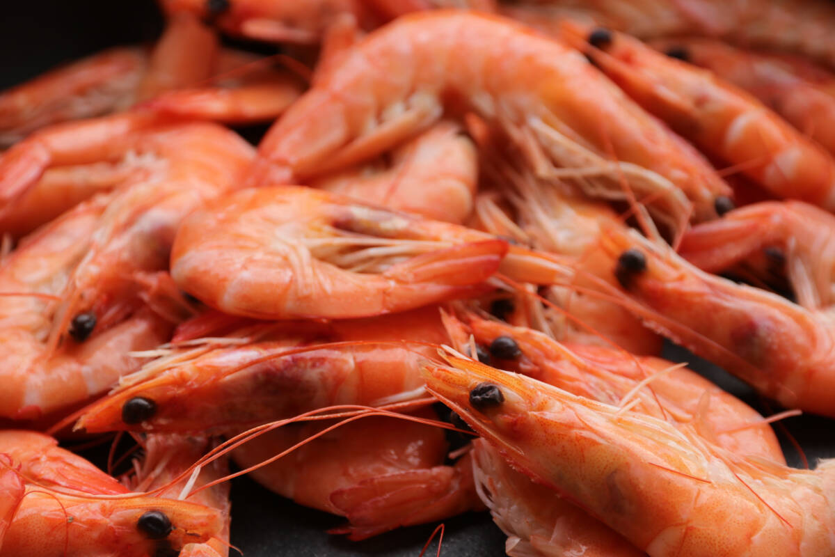 Article image for The best seafood buys to get your Easter fix on a budget 
