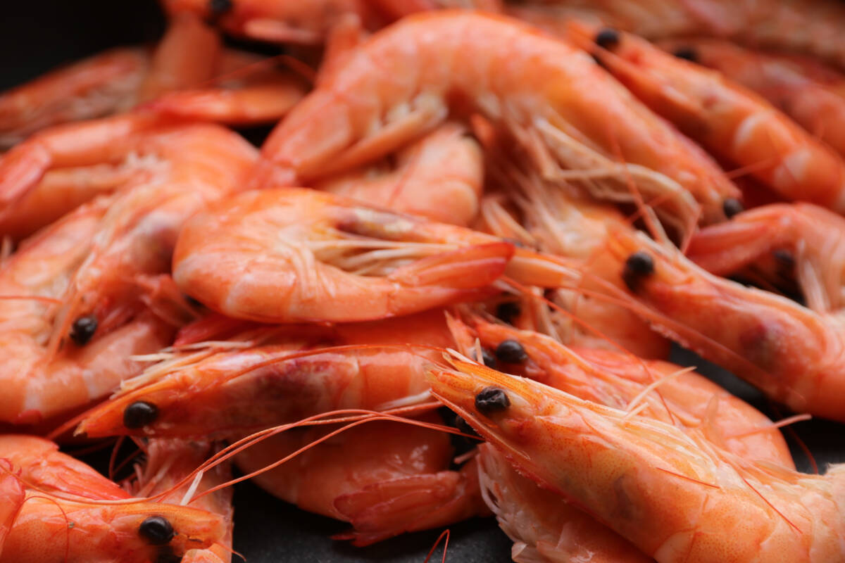 Article image for The best seafood buys to get your Easter fix on a budget