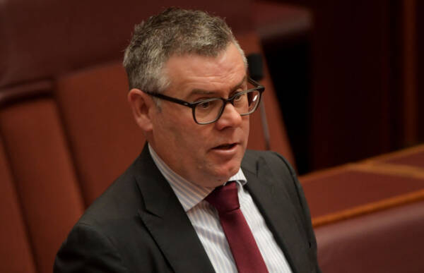 Article image for Senator Murray Watt reflects on Labor’s performance in Queensland