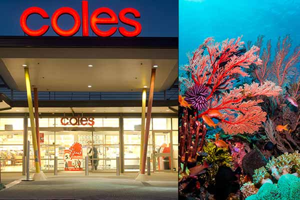 Article image for Coles to spend $10 million on blue carbon projects in Great Barrier Reef 