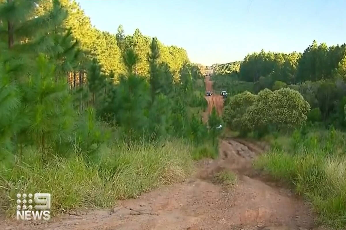 Article image for Two charged after discovery of human remains at Glass House Mountains