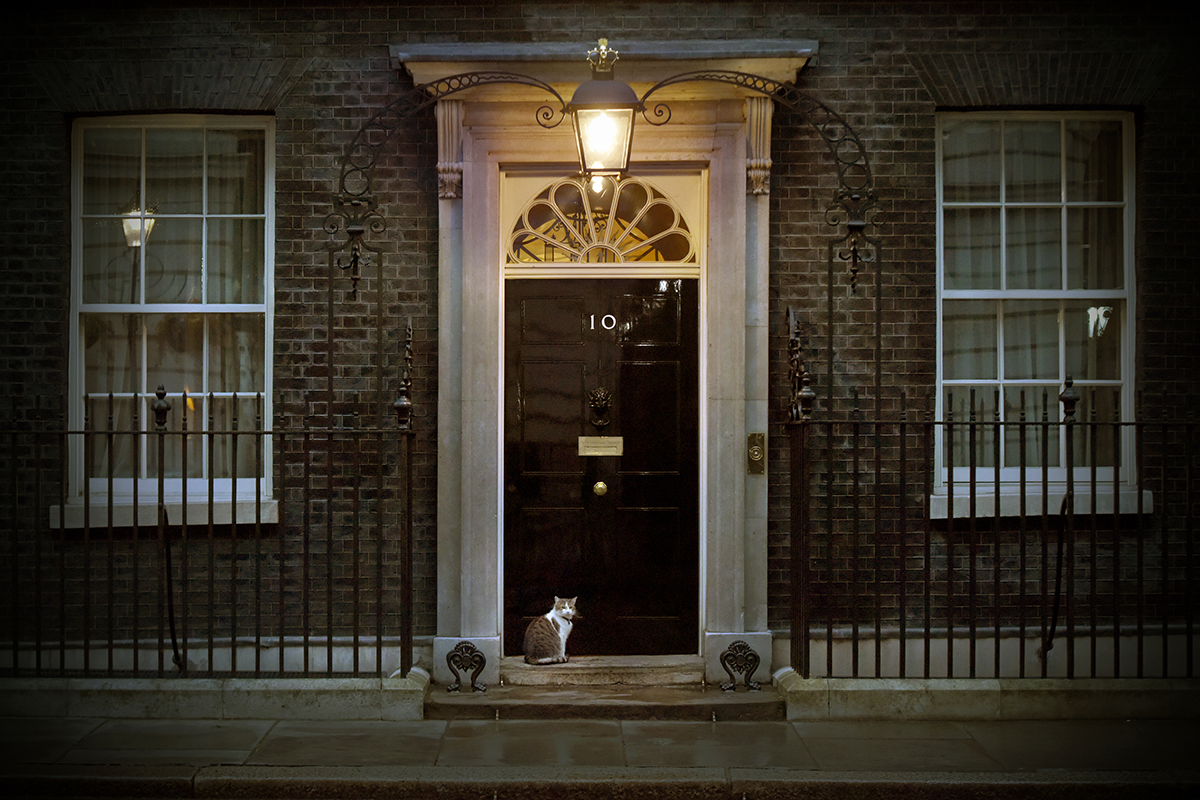 Article image for Two cut from UK Tories’ race to find new PM in first round of voting