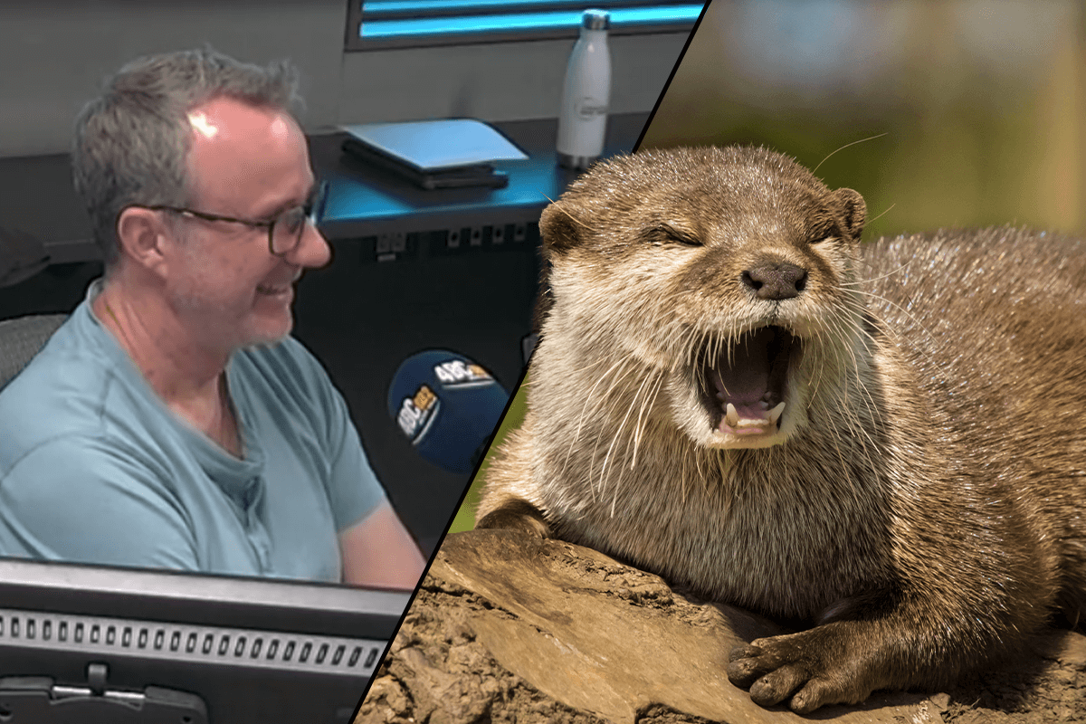 Article image for The times our listeners’ animal encounters took a hairy turn