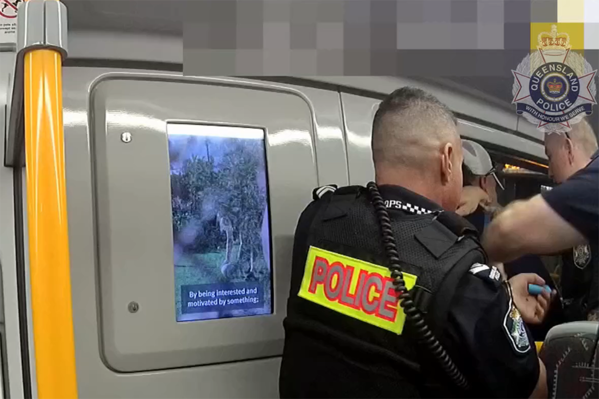 Article image for WATCH | Dramatic arrest of man on train at Central Station